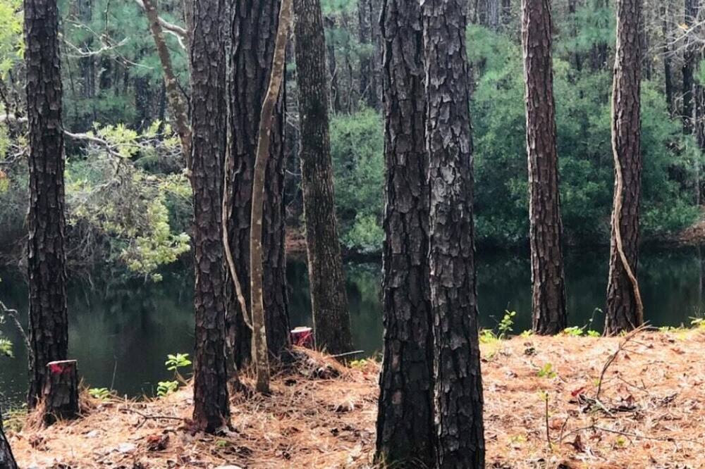 Photo of Others in Huntsville