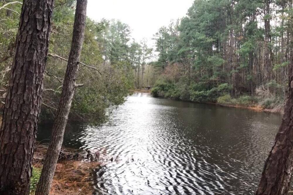 Photo of Outdoor in Huntsville