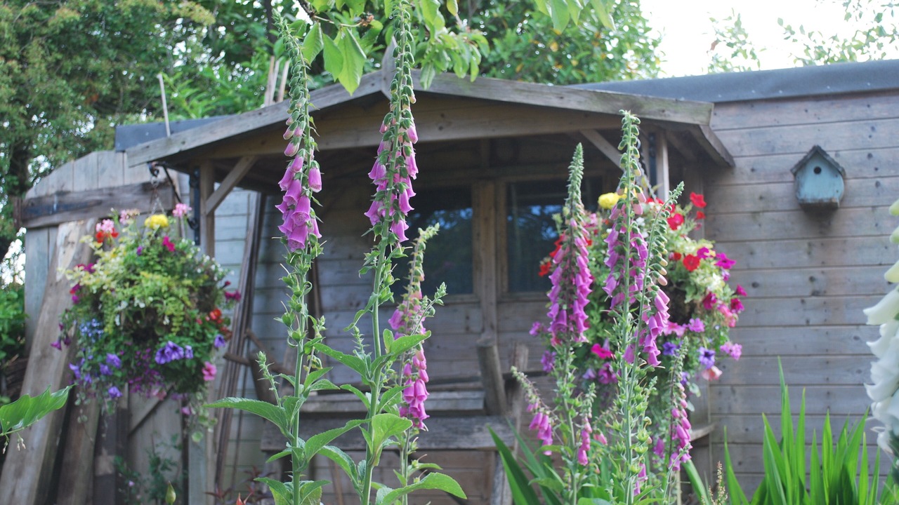 Photo of Bedroom in Fangfoss