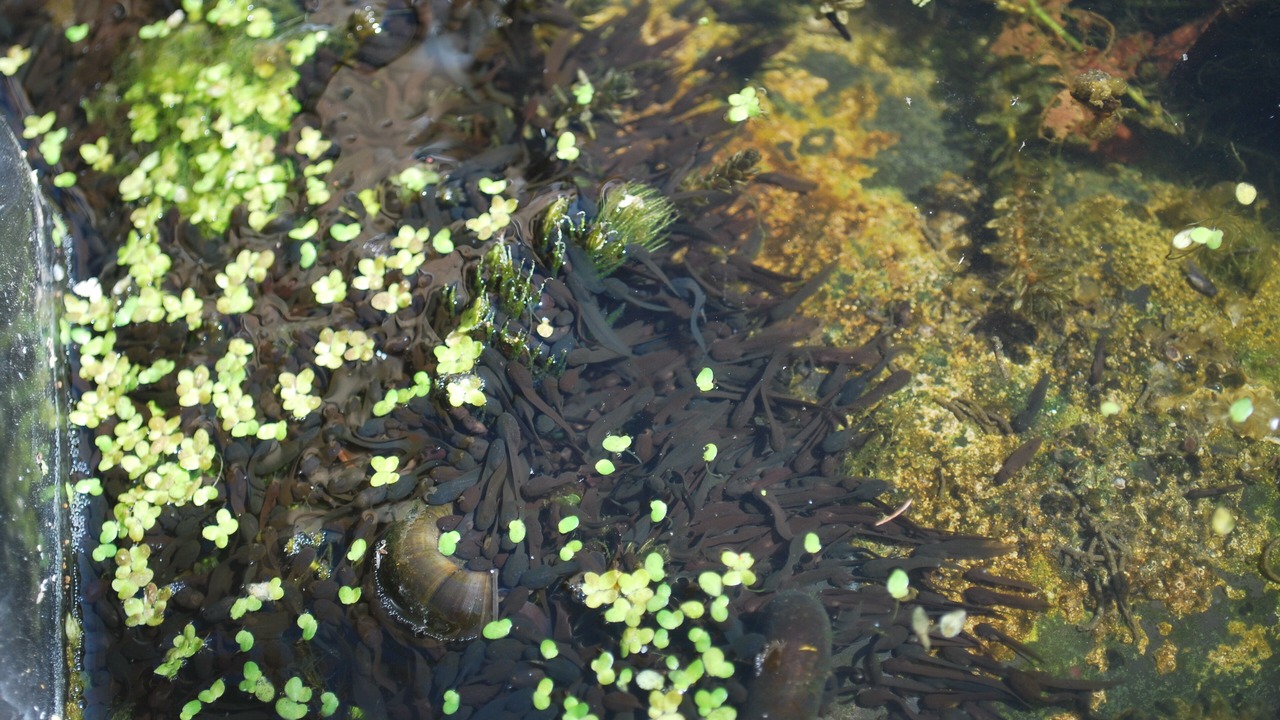 Photo of Outdoor in Fangfoss