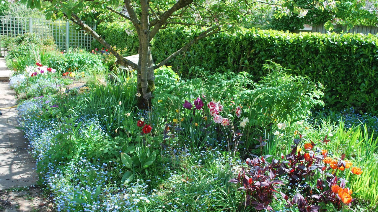 Photo of Outdoor in Fangfoss