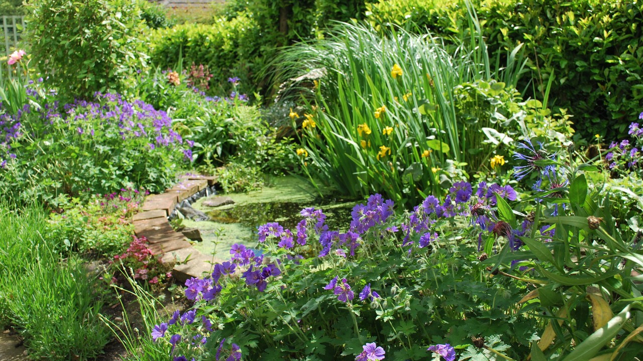 Photo of Outdoor in Fangfoss