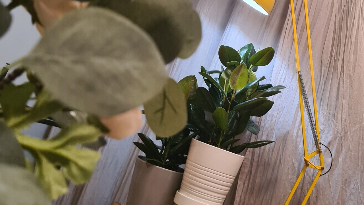 Photo of Others in Entraygues-sur-Truyere