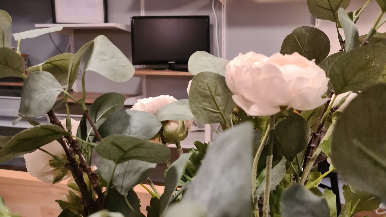 Photo of Others in Entraygues-sur-Truyere