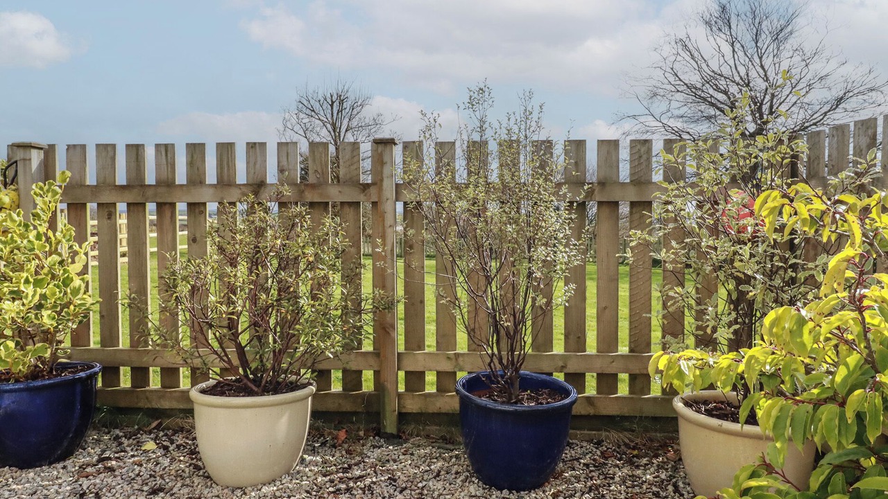 Photo of Outdoor in Pendoggett