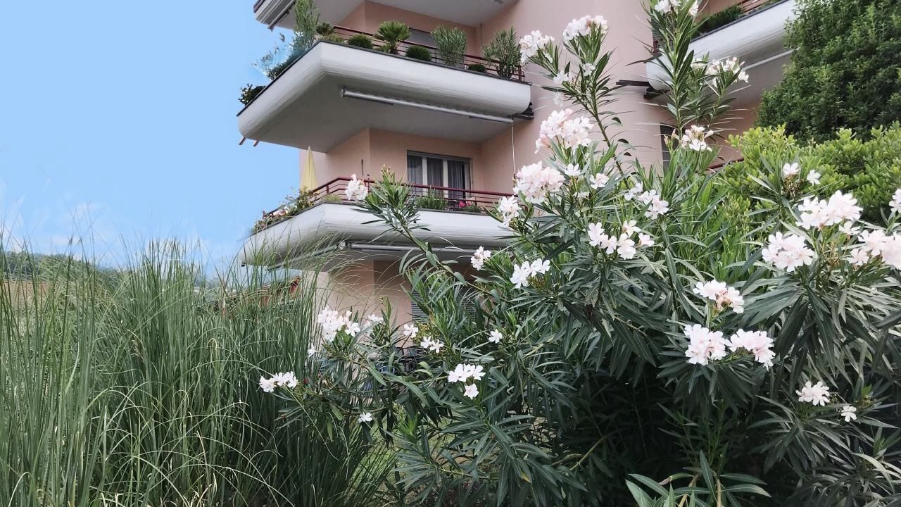 Photo of Outdoor in Caslano