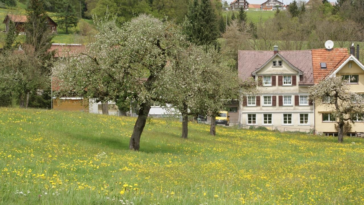 Photo of Outdoor in Degersheim