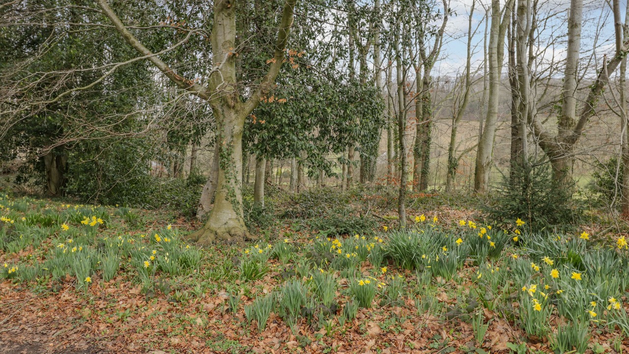 Photo of Others in Llanvair Kilgeddin