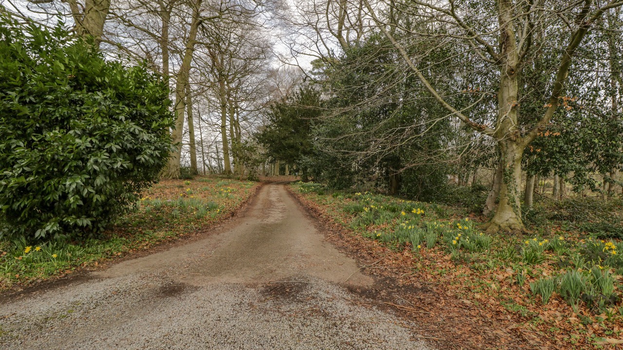 Photo of Others in Llanvair Kilgeddin