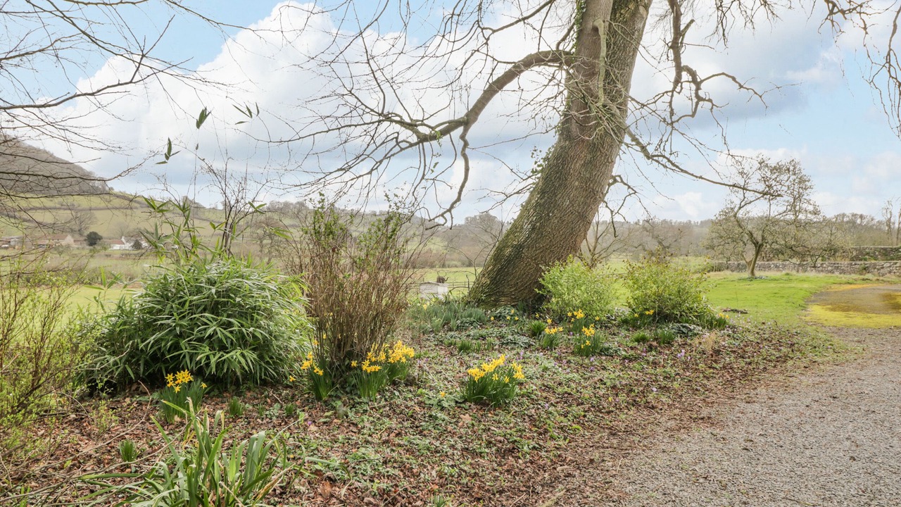 Photo of Others in Llanvair Kilgeddin