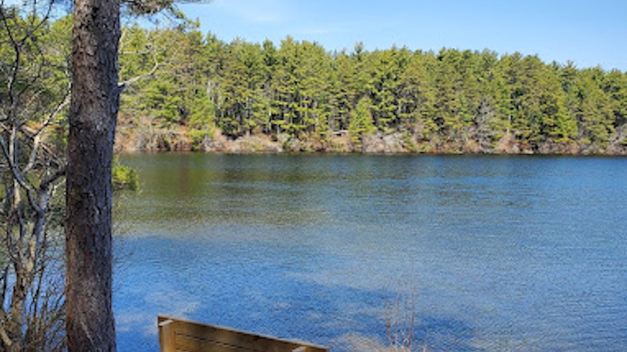 Photo of Others in Onset