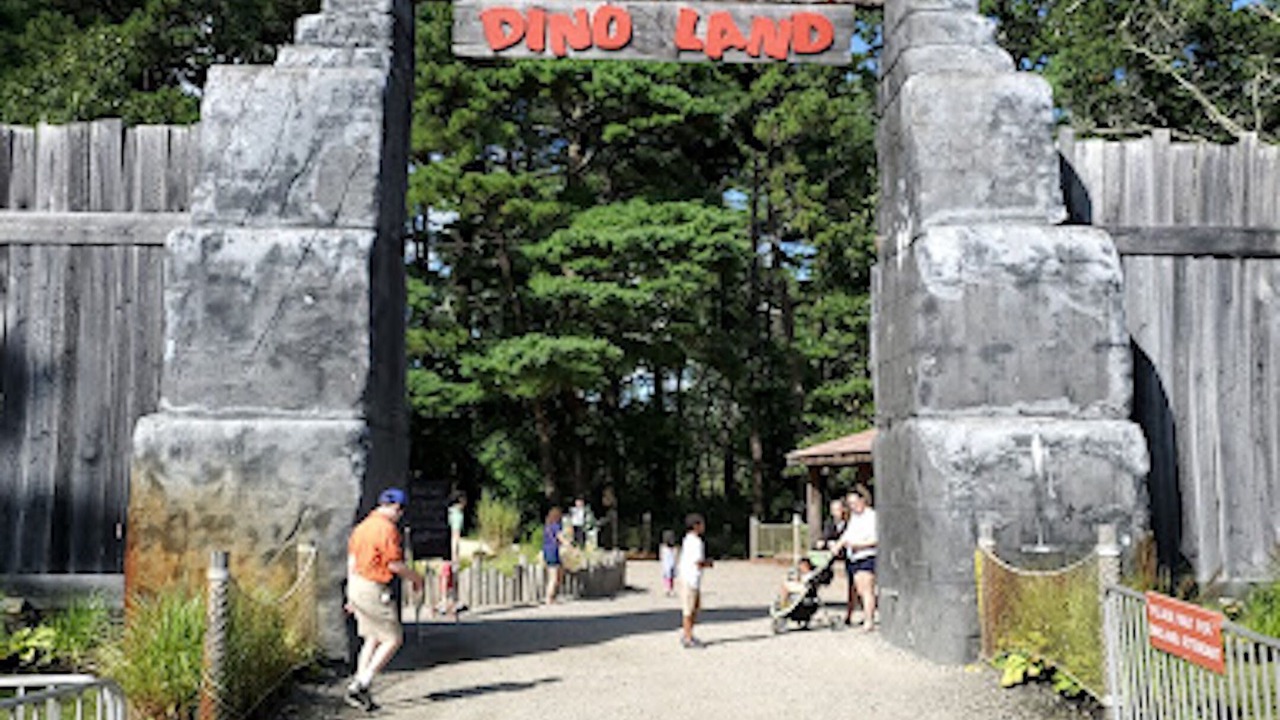 Photo of Others in Onset