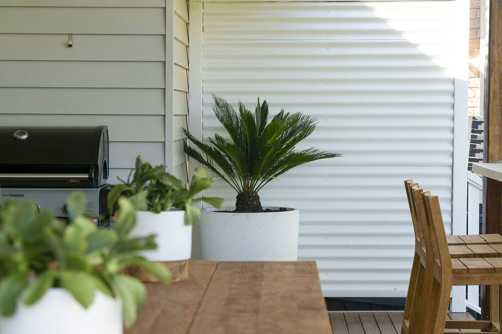 Photo of Others in Rosebud