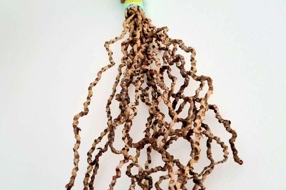 Photo of Others in Batehaven