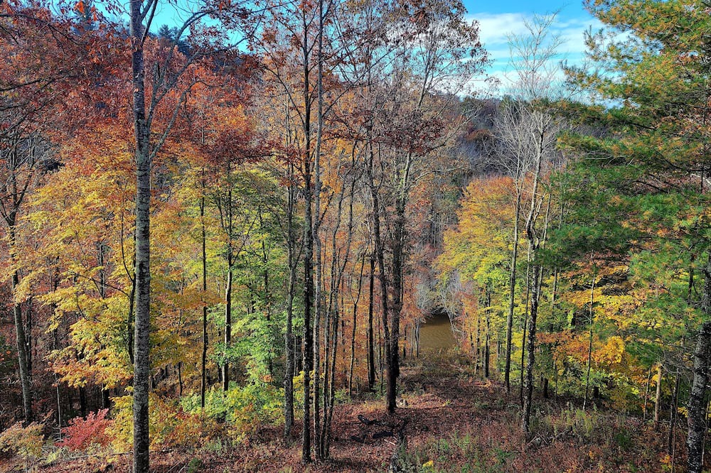 Photo of Outdoor in Pine Creek