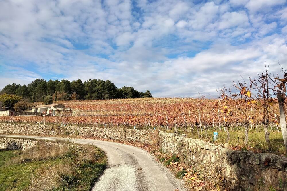 Photo of Outdoor in Sanilhac