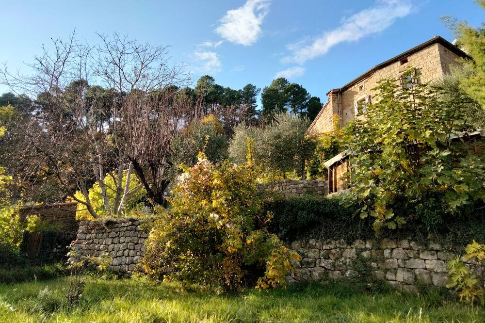 Photo of Outdoor in Sanilhac