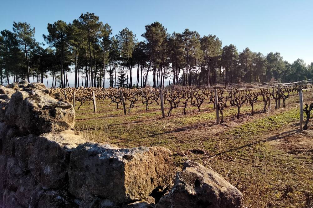 Photo of Outdoor in Sanilhac