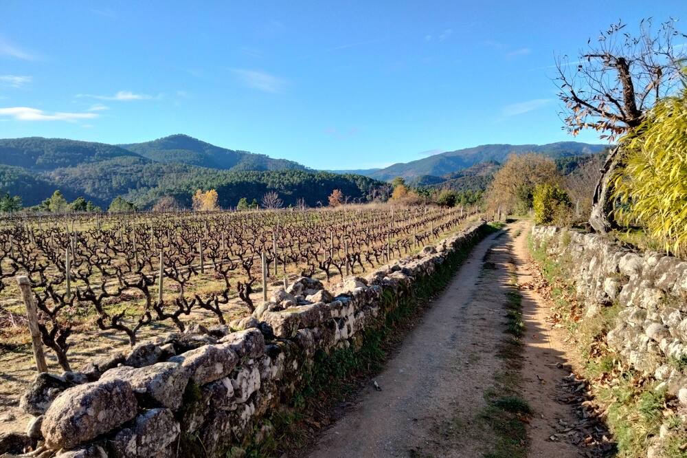 Photo of Outdoor in Sanilhac