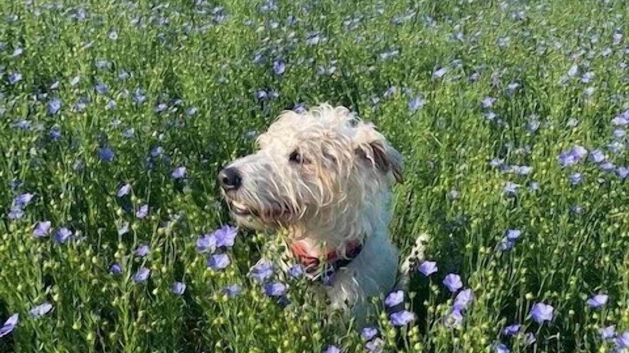 Photo of Outdoor in Chitenay