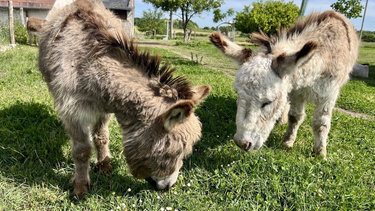 Photo of Outdoor in Chitenay