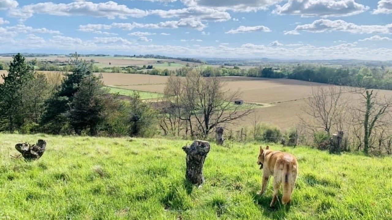 Photo of Others in Astarac Arros en Gascogne