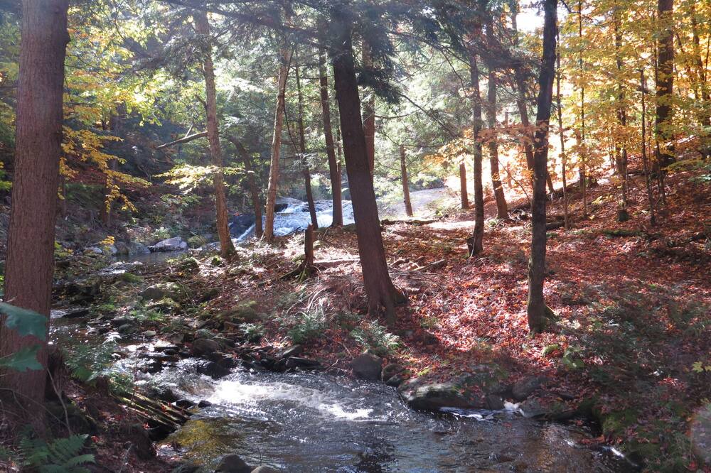 Photo of Outdoor in Cecebe