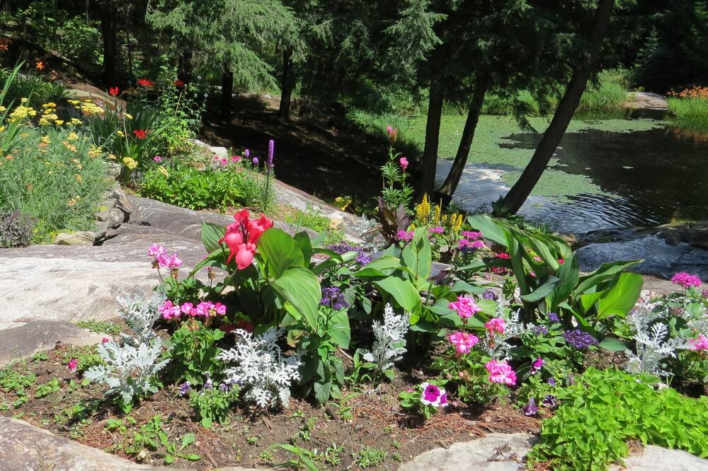 Photo of Outdoor in Cecebe