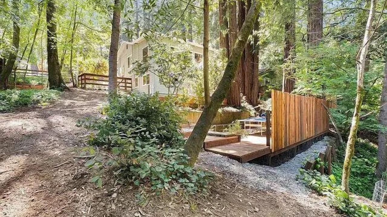 Photo of Outdoor in Boulder Creek