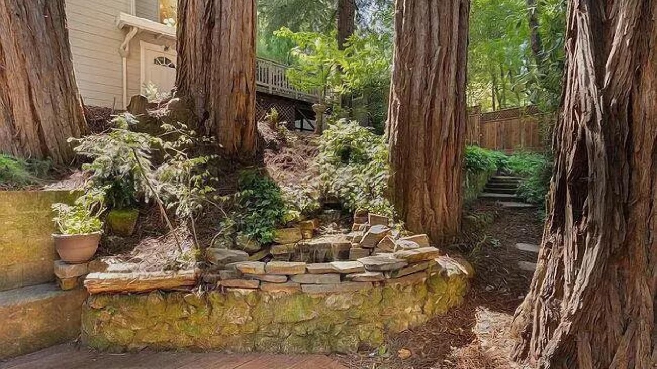 Photo of Outdoor in Boulder Creek