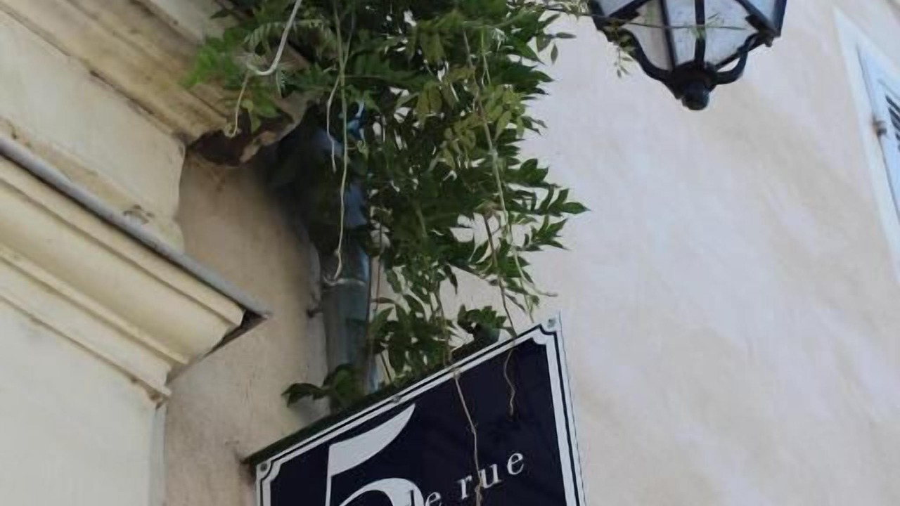 Photo of Outdoor in Le Lude