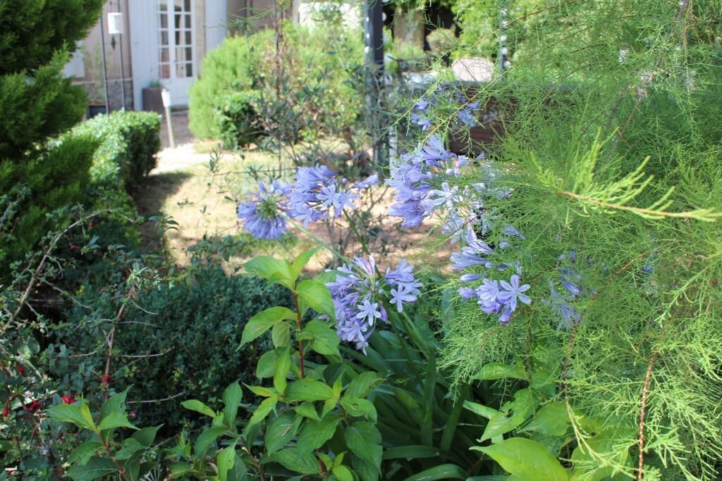 Photo of Outdoor in Le Lude