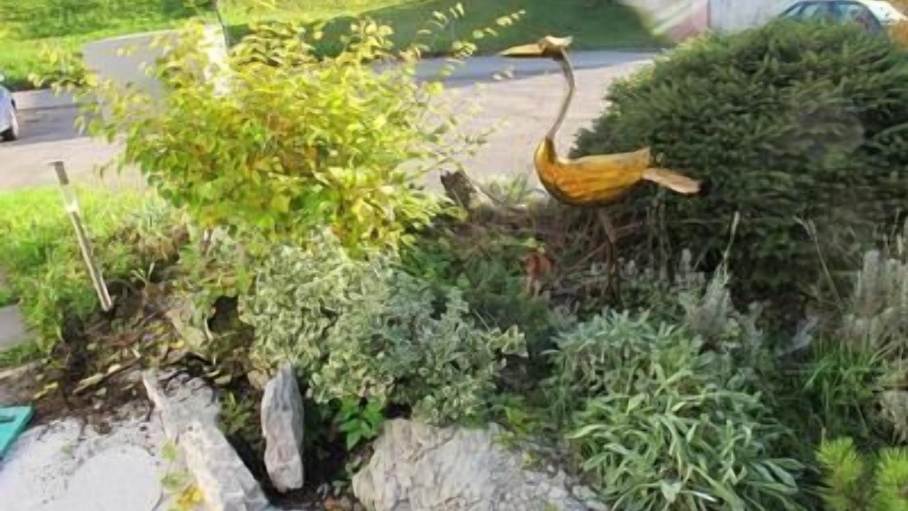 Photo of Outdoor in Ruetli