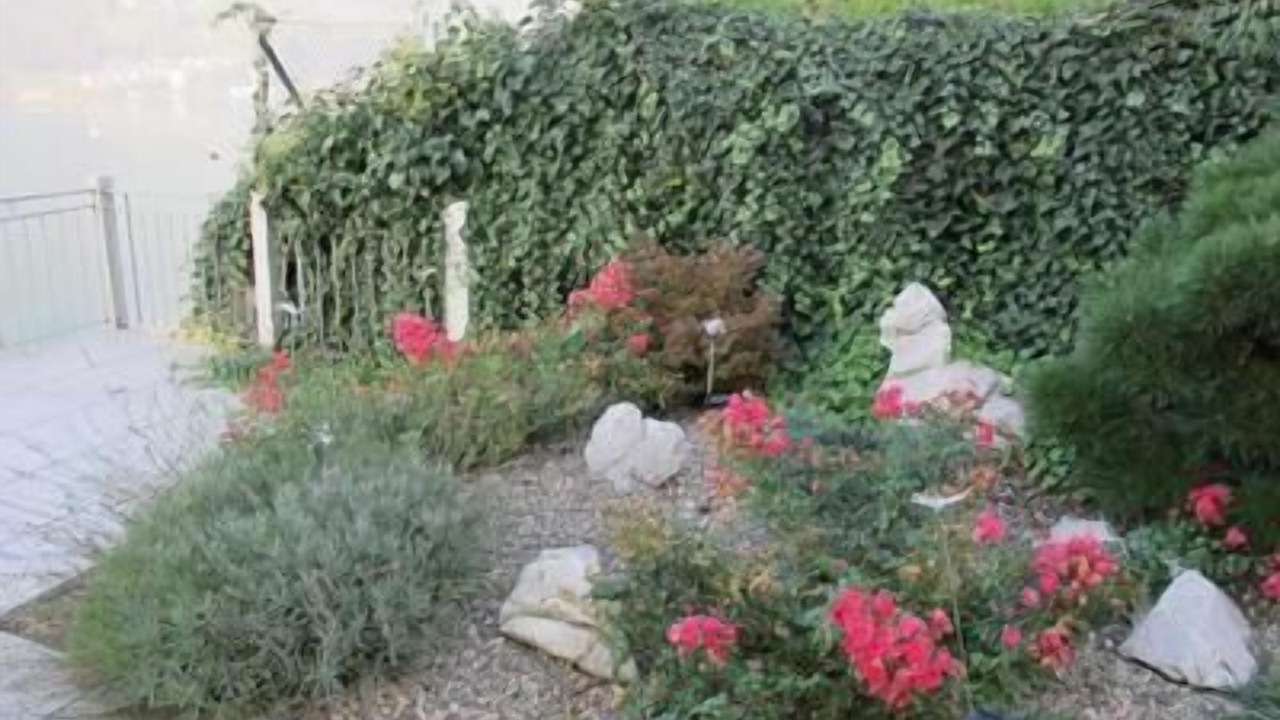 Photo of Outdoor in Ruetli