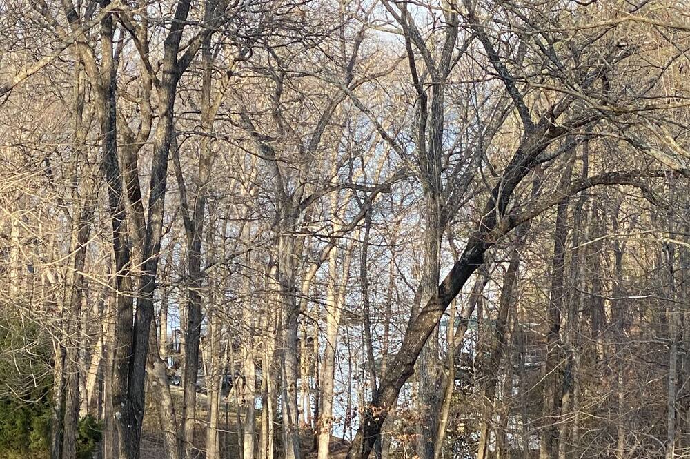 Photo of Outdoor in Almo