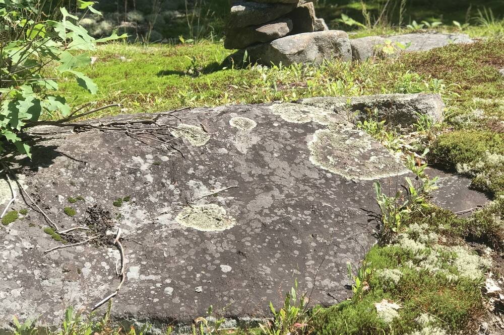 Photo of Outdoor in Sprucedale