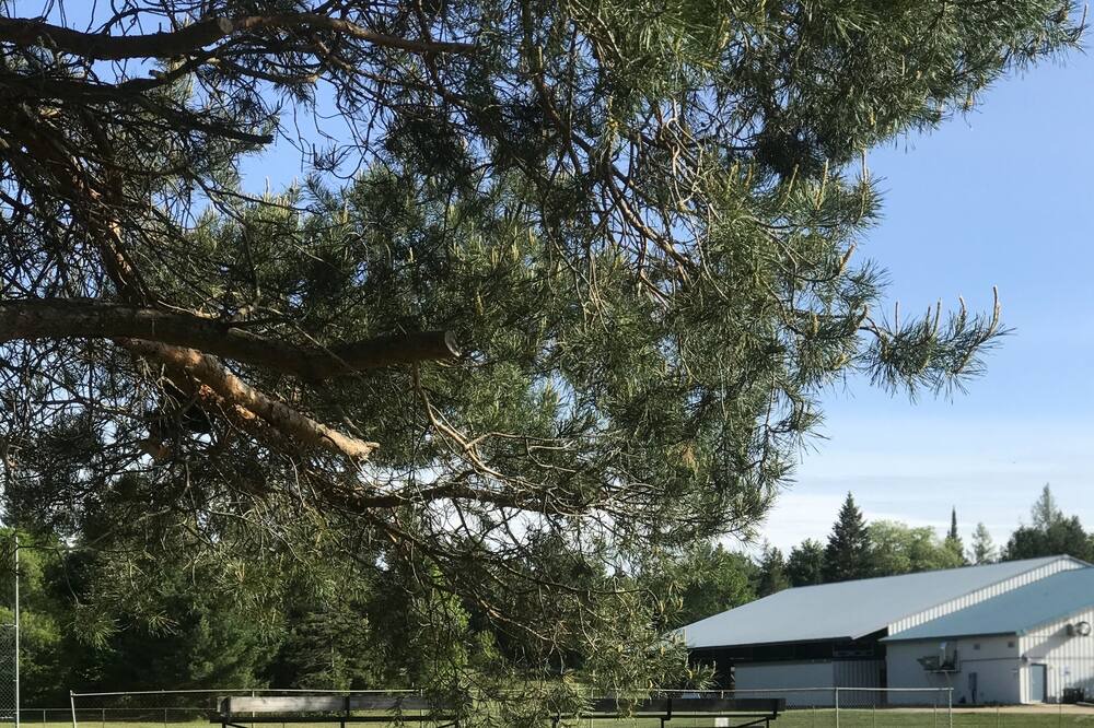Photo of Outdoor in Sprucedale
