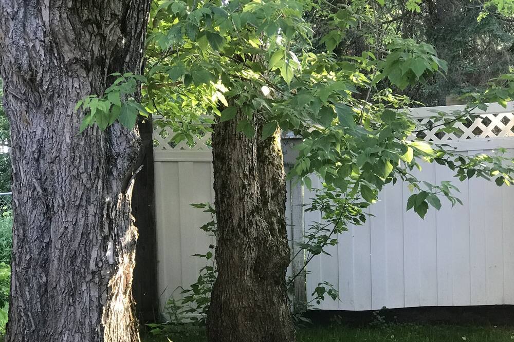 Photo of Outdoor in Sprucedale