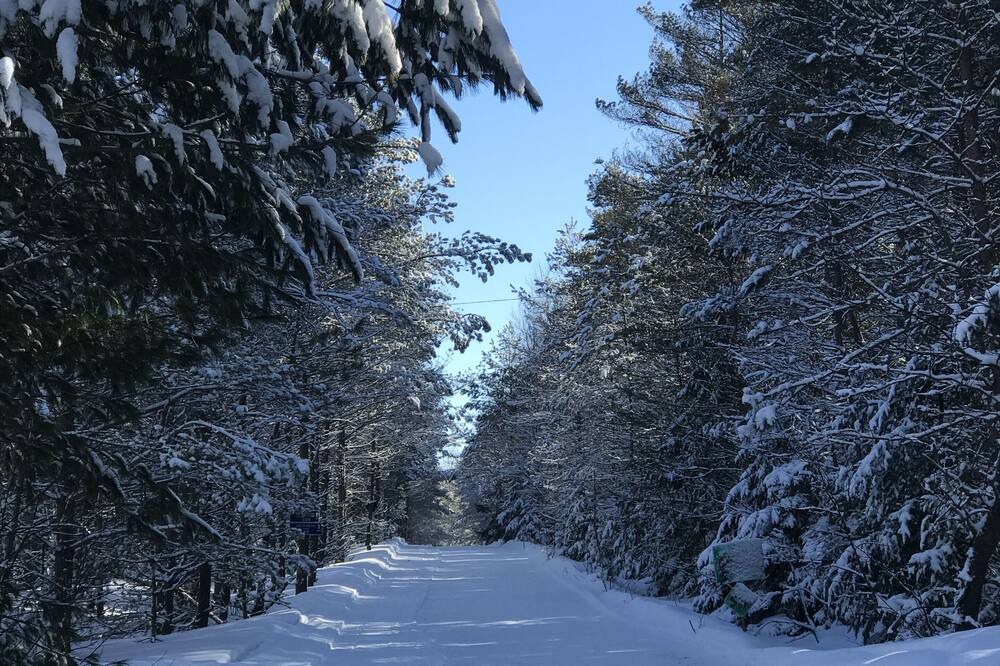 Photo of Others in Sprucedale