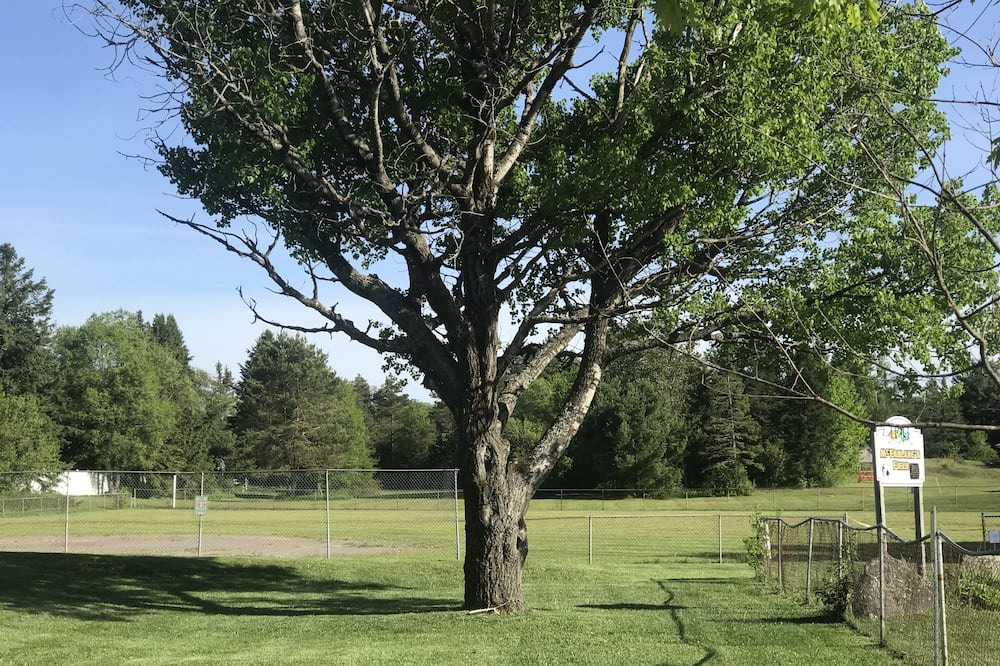 Photo of Outdoor in Sprucedale