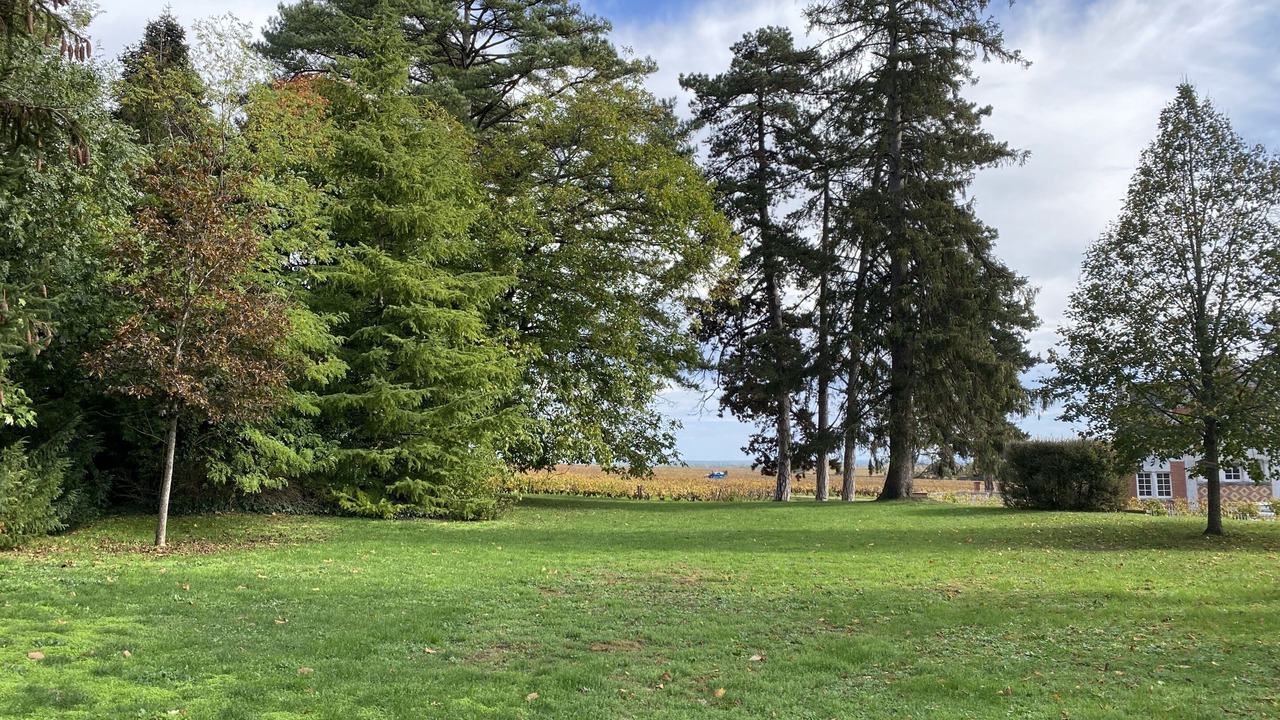 Photo of Outdoor in Savigny-les-Beaune