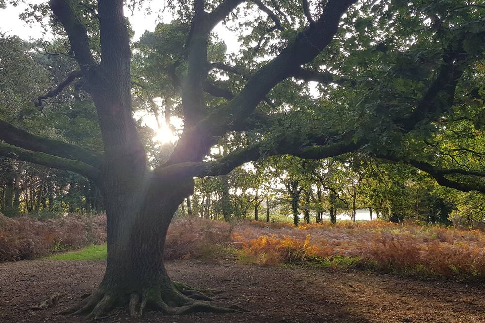 Photo of Outdoor in Pays Bigouden Sud