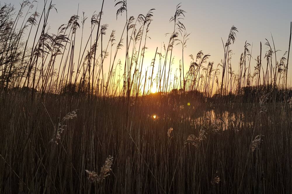 Photo of Outdoor in Pays Bigouden Sud
