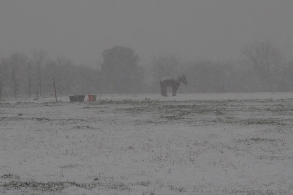 Photo of Others in Pays Bigouden Sud
