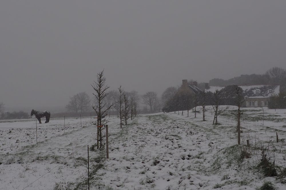 Photo of Others in Pays Bigouden Sud