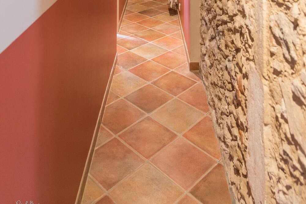 Photo of Others in Tercis-les-Bains