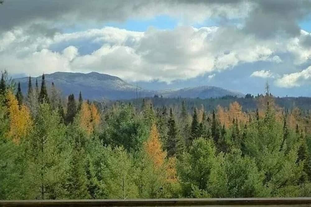 Photo of Others in Malone