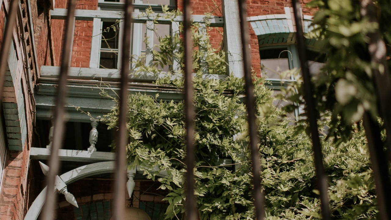 Photo of Outdoor in Saint-Omer