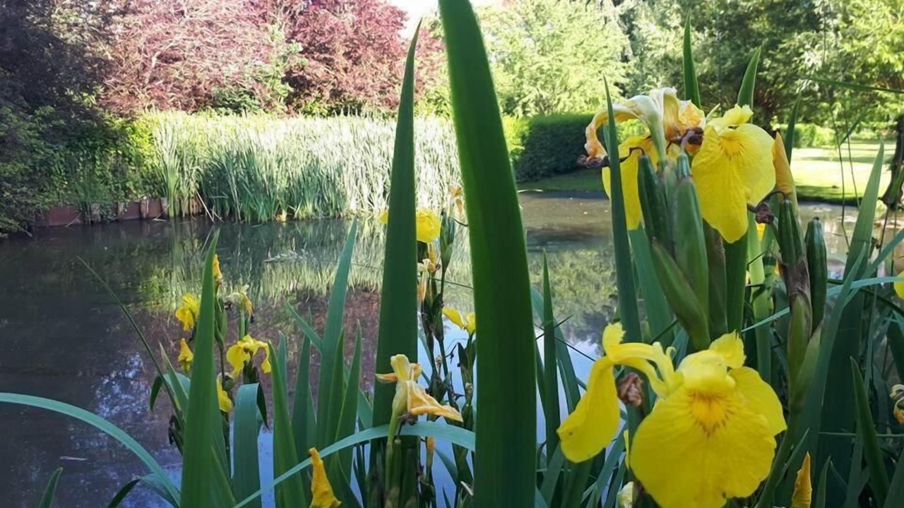 Photo of Outdoor in Saint-Omer