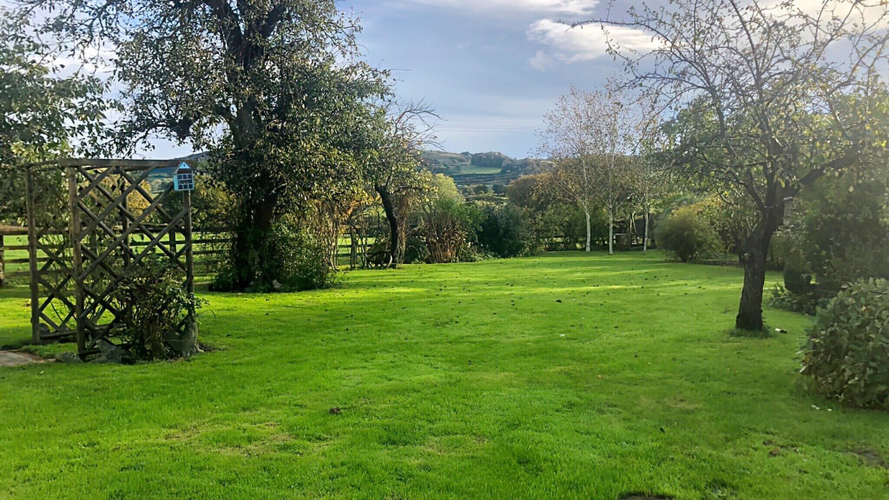 Photo of Outdoor in Saint Asaph